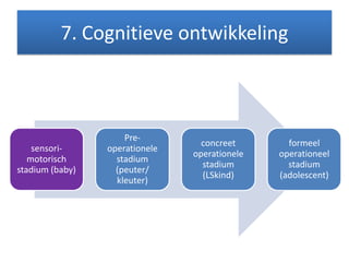7. Cognitieve ontwikkeling
sensori-
motorisch
stadium (baby)
Pre-
operationele
stadium
(peuter/
kleuter)
concreet
operationele
stadium
(LSkind)
formeel
operationeel
stadium
(adolescent)
 