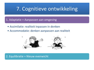 7. Cognitieve ontwikkeling
1. Adaptatie = Aanpassen aan omgeving
• Assimilatie: realiteit inpassen in denken
• Accommodatie: denken aanpassen aan realiteit
2. Equilibratie = Nieuw evenwicht
 
