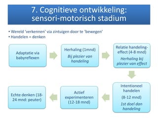 Adaptatie via
babyreflexen
Herhaling (1mnd)
Bij plezier van
handeling
Relatie handeling-
effect (4-8 mnd)
Herhaling bij
plezier van effect
Intentioneel
handelen
(8-12 mnd)
1st doel dan
handeling
Actief
experimenteren
(12-18 mnd)
Echte denken (18-
24 mnd: peuter)
• Wereld ‘verkennen’ via zintuigen door te ‘bewegen’
• Handelen = denken
7. Cognitieve ontwikkeling:
sensori-motorisch stadium
 