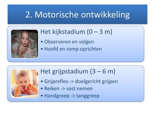 2. Motorische ontwikkeling
Het kijkstadium (0 – 3 m)
• Observeren en volgen
• Hoofd en romp oprichten
Het grijpstadium (3 – 6 m)
• Grijpreflex -> doelgericht grijpen
• Reiken -> vast nemen
• Handgreep -> tanggreep
 