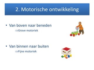• Van boven naar beneden
Grove motoriek
• Van binnen naar buiten
Fijne motoriek
2. Motorische ontwikkeling
 