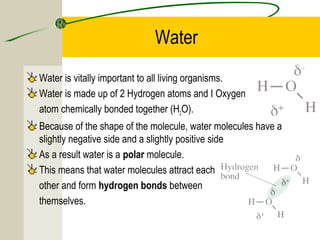 Water
Water is vitally important to all living organisms.
Water is made up of 2 Hydrogen atoms and I Oxygen
atom chemically bonded together (H2O).
Because of the shape of the molecule, water molecules have a
slightly negative side and a slightly positive side
As a result water is a polar molecule.
This means that water molecules attract each
other and form hydrogen bonds between
themselves.
 