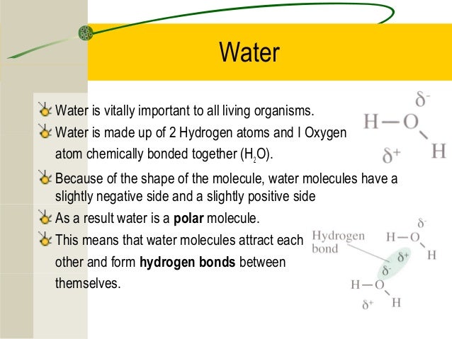 3.1 chemical elements & water
