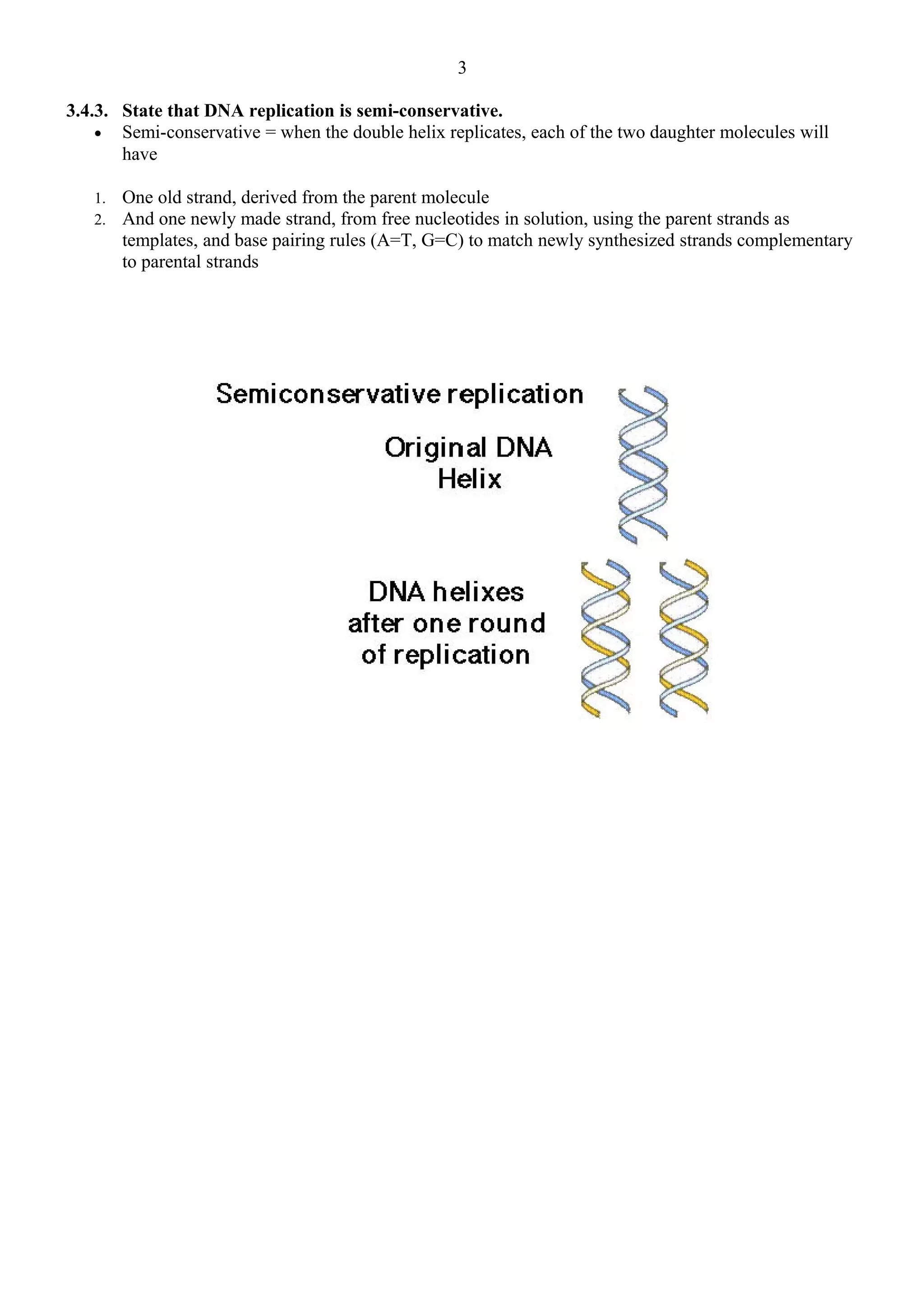 3.4.3. State that DNA replication is semi-conservative.
• Semi-conservative = when the double helix replicates, each of the two daughter molecules will
have
1. One old strand, derived from the parent molecule
2. And one newly made strand, from free nucleotides in solution, using the parent strands as
templates, and base pairing rules (A=T, G=C) to match newly synthesized strands complementary
to parental strands
3
 