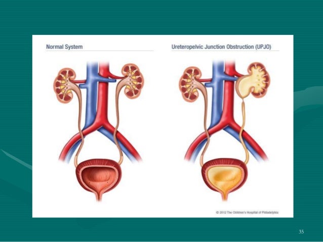 Nursing Diagnoses - Definitions and Classification, 2015-17 by Nanda... Nursing Diagnoses - Definitions and Classification, 2015-17 by Nanda...
