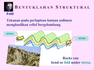 stress
stress
Fold
Tekanan pada perlapisan batuan sedimen
menghasilkan relief bergelombang
Rocks can
bend or fold under stress.
B E N T U K L A H A N S T R U K T U R A L
 