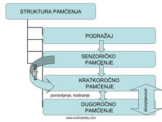 Free powerpoint template:
www.brainybetty.com
8
STRUKTURA PAMĆENJA
PODRAŽAJ
KRATKOROČNO
PAMĆENJE
DUGOROČNO
PAMĆENJE
SENZORIČKO
PAMĆENJE
ponavljanje, kodiranje
pažnja
pronalaženje
 