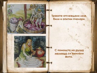 Траките отглеждали лозя,
били и опитни пчелари.
С помощта на ръчна
мелница си смилали
жито.
 