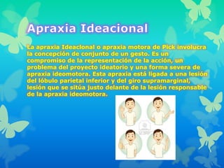 La apraxia Ideaclonal o apraxia motora de Pick involucra
la concepción de conjunto de un gesto. Es un
compromiso de la representación de la acción, un
problema del proyecto ideatorio y una forma severa de
apraxia ideomotora. Esta apraxia está ligada a una lesión
del lóbulo parietal inferior y del giro supramarginal,
lesión que se sitúa justo delante de la lesión responsable
de la apraxia ideomotora.
 