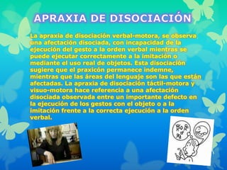 La apraxia de disociación verbal-motora, se observa
una afectación disociada, con incapacidad de la
ejecución del gesto a la orden verbal mientras se
puede ejecutar correctamente a la imitación o
mediante el uso real de objetos. Esta disociación
sugiere que el praxicón permanece indemne,
mientras que las áreas del lenguaje son las que están
afectadas. La apraxia de disociación táctil-motora y
visuo-motora hace referencia a una afectación
disociada observada entre un importante defecto en
la ejecución de los gestos con el objeto o a la
imitación frente a la correcta ejecución a la orden
verbal.
 