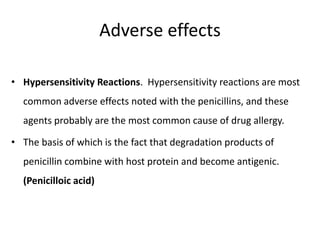 Adverse effects
• Hypersensitivity Reactions. Hypersensitivity reactions are most
common adverse effects noted with the penicillins, and these
agents probably are the most common cause of drug allergy.

• The basis of which is the fact that degradation products of
penicillin combine with host protein and become antigenic.
(Penicilloic acid)

 