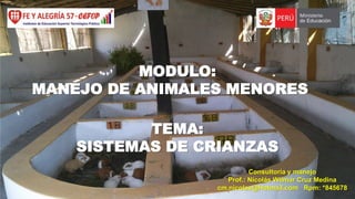 MODULO:
MANEJO DE ANIMALES MENORES
TEMA:
SISTEMAS DE CRIANZAS
Consultoría y manejo
Prof.: Nicolás Wilmar Cruz Medina
cm.nicolas@Hotmail.com Rpm: *845678

 
