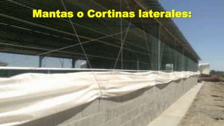Mantas o Cortinas laterales:

 