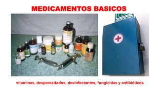 MEDICAMENTOS BASICOS

vitaminas, desparasitados, desinfectantes, fungicidas y antibióticos

 