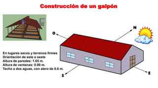 Construcción de un galpón

En lugares secos y terrenos firmes
Orientación de este a oeste
Altura de paredes: 1.65 m.
Altura de ventanas: 0.90 m.
Techo a dos aguas, con alero de 0.6 m.

 