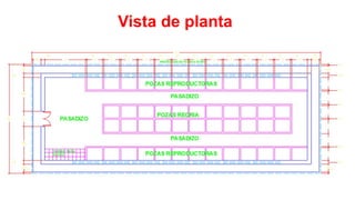 Vista de planta

 