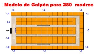 Modelo de Galpón para 280 madres
1,2

1,2

1,2

1,0

1,0

1,3

PUERTA

1,0

1,0

1,0

1,0
1,2

1,2

1,2

 