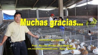 Consultoría y manejo
Prof.: Nicolás Wilmar Cruz Medina
cm.nicolas@Hotmail.com Rpm: *845678

 