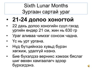 Sixth Lunar Months
Зургаан сартай ураг

• 21-24 долоо хоногтой
•
•
•
•

•

22 дахь долоо хоногийн сүүл гэхэд
ургийн өндөр 21 см, жин нь 630 гр
Ураг аливаа чимээг сонсож чадна.
Үс нь урт ургана.
Нүд бүтцийнхээ хувьд бүрэн
хөгжиж, удалгүй нээнэ.
Бие бүхэлдээ верникс хэмээх бяслаг
шиг өөхөн хамгаалагч эдээр
бүрхэгдэнэ.

 