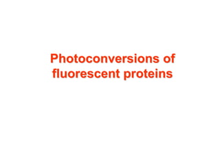 Photoconversions of
fluorescent proteins

 