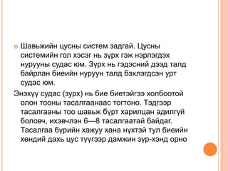 Шавьжийн цусны систем задгай. Цусны
системийн гол хэсэг нь зүрх гэж нэрлэгдэх
нурууны судас юм. Зүрх нь гэдэсний дээд талд
байрлан биеийн нуруун талд бэхлэгдсэн урт
судас юм.
Энэхүү судас (зурх) нь бие биетэйгээ холбоотой
олон тооны тасалгаанаас тогтоно. Тэдгээр
тасалгааны тоо шавьж бүрт харилцан адилгүй
боловч, ихэвчлэн 6—8 тасалгаатай байдаг.
Тасалгаа бүрийн хажуу хана нүхтэй тул биеийн
хөндий дахь цус түүгээр дамжин зүр-хэнд орно


 