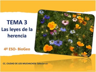 TEMA 3
Las leyes de la
herencia
4º ESO- BioGeo

CC. CIUDAD DE LOS MUCHACHOS- Salesianos

 