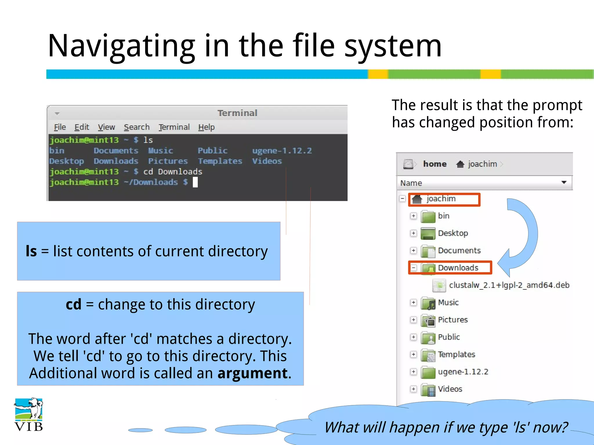 Navigating in the file system
The result is that the prompt
has changed position from:

ls = list contents of current directory
cd = change to this directory
The word after 'cd' matches a directory.
We tell 'cd' to go to this directory. This
Additional word is called an argument.

What will happen if we type 'ls' now?

 