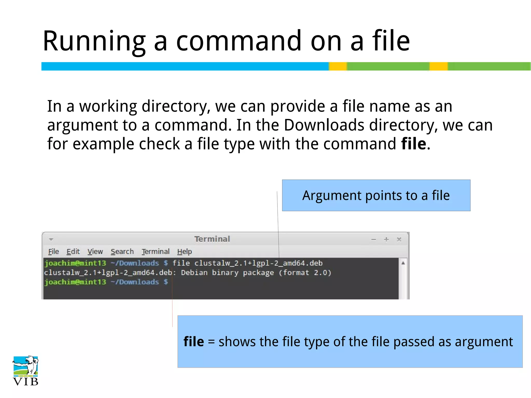 Running a command on a file
In a working directory, we can provide a file name as an
argument to a command. In the Downloads directory, we can
for example check a file type with the command file.
Argument points to a file

file = shows the file type of the file passed as argument

 