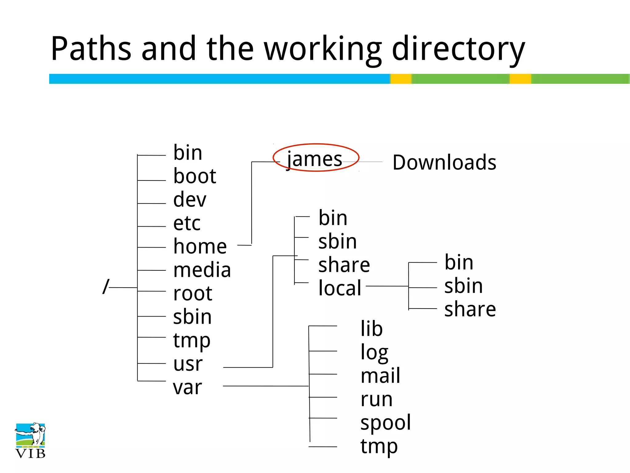 Paths and the working directory

/

bin
boot
dev
etc
home
media
root
sbin
tmp
usr
var

james

Downloads

bin
sbin
share
local
lib
log
mail
run
spool
tmp

bin
sbin
share

 