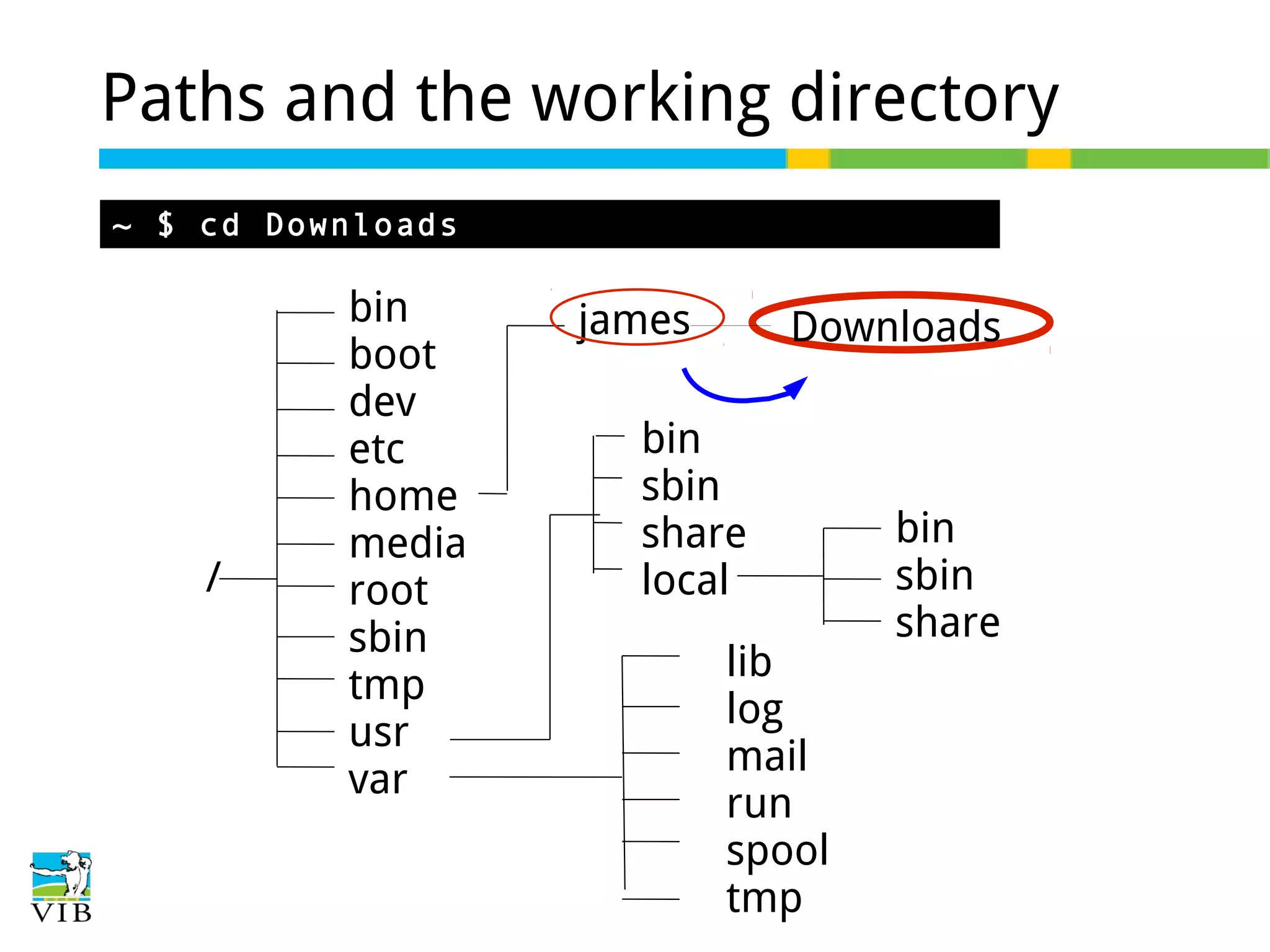Paths and the working directory
~ $ cd Downloads

/

bin
boot
dev
etc
home
media
root
sbin
tmp
usr
var

james

Downloads

bin
sbin
share
local
lib
log
mail
run
spool
tmp

bin
sbin
share

 