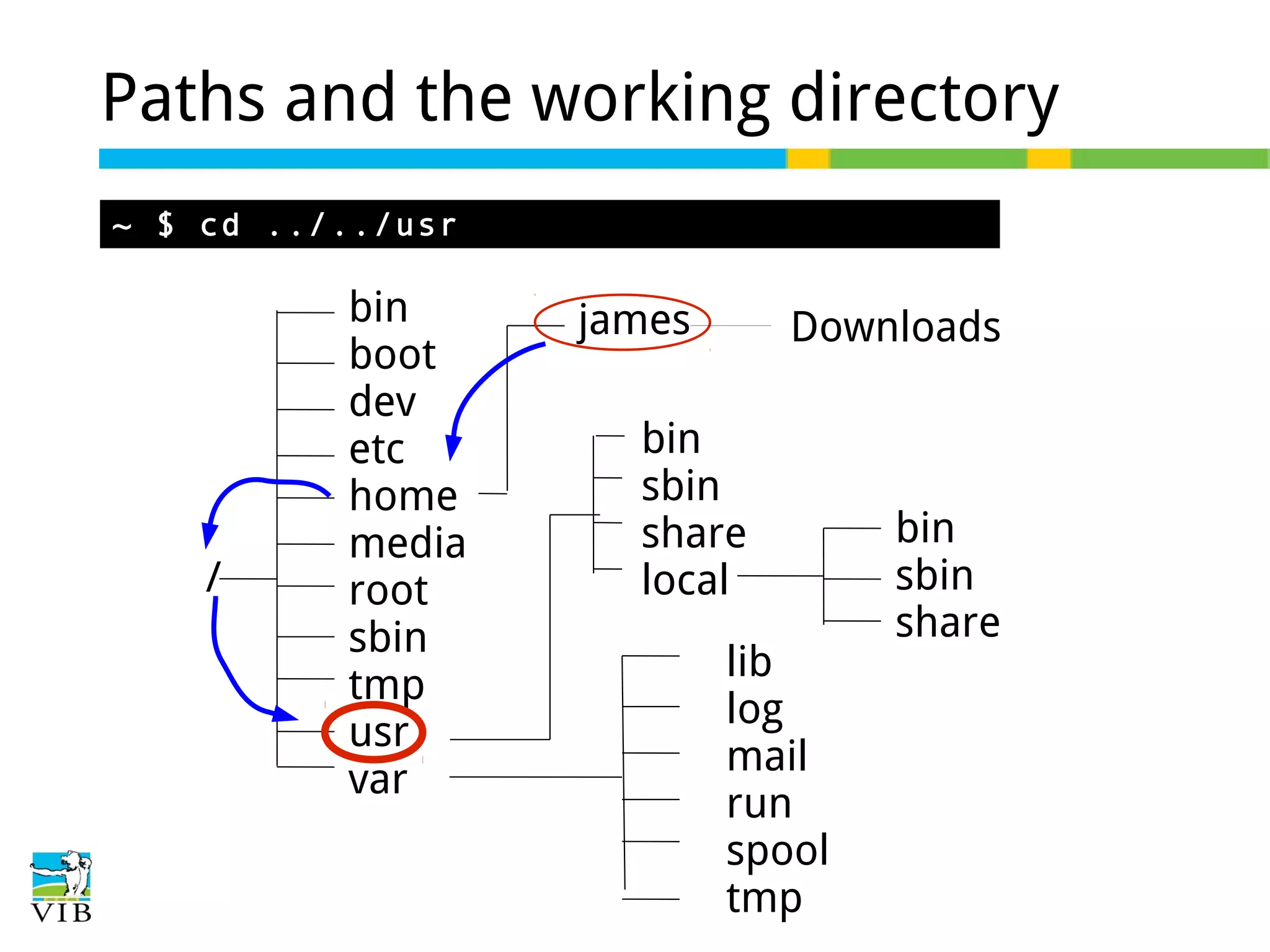 Paths and the working directory
~ $ cd ../../usr

/

bin
boot
dev
etc
home
media
root
sbin
tmp
usr
var

james

Downloads

bin
sbin
share
local
lib
log
mail
run
spool
tmp

bin
sbin
share

 