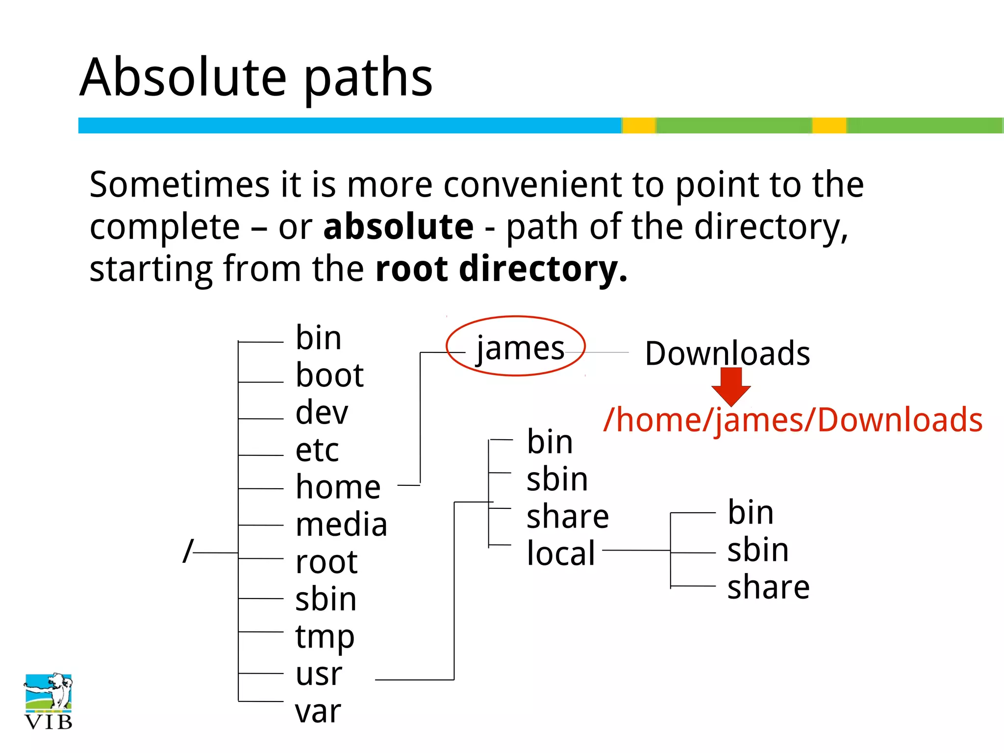 Absolute paths
Sometimes it is more convenient to point to the
complete – or absolute - path of the directory,
starting from the root directory.

/

bin
boot
dev
etc
home
media
root
sbin
tmp
usr
var

james

Downloads
/home/james/Downloads

bin
sbin
share
local

bin
sbin
share

 