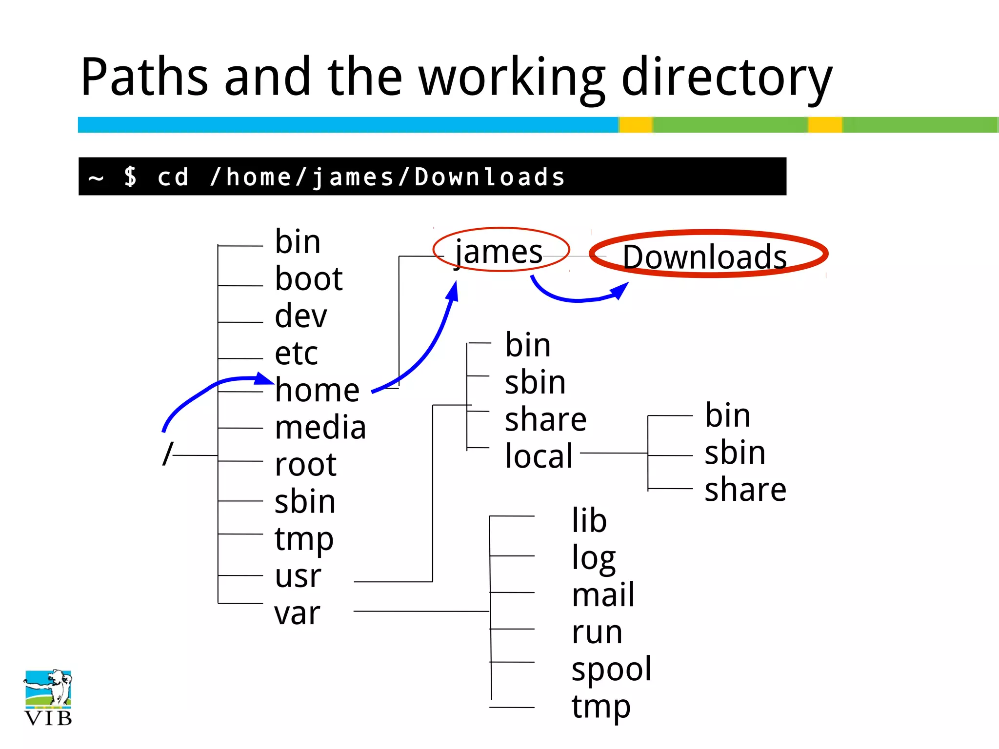 Paths and the working directory
~ $ cd /home/james/Downloads

/

bin
boot
dev
etc
home
media
root
sbin
tmp
usr
var

james

Downloads

bin
sbin
share
local
lib
log
mail
run
spool
tmp

bin
sbin
share

 