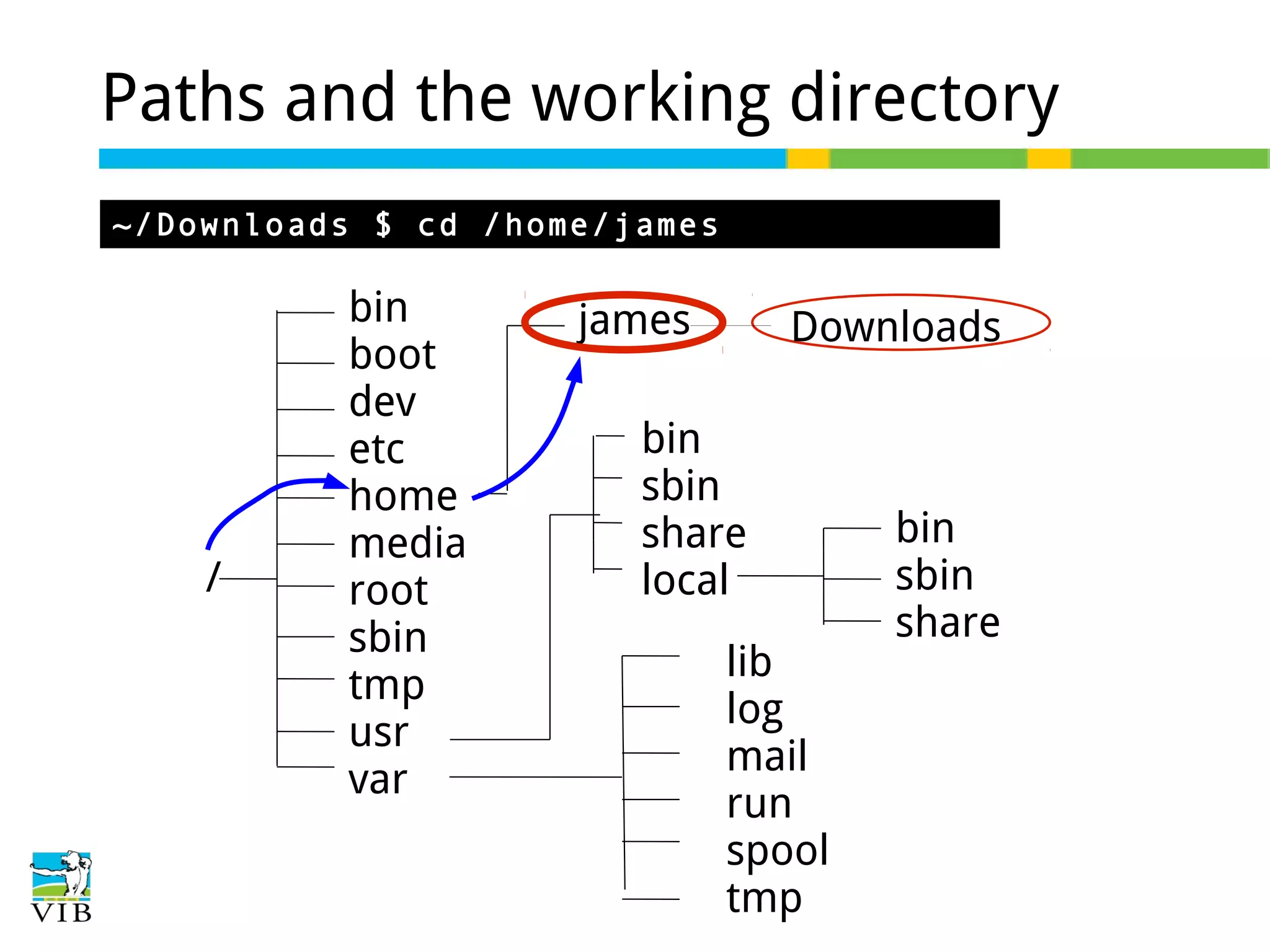 Paths and the working directory
~/Downloads $ cd /home/james

/

bin
boot
dev
etc
home
media
root
sbin
tmp
usr
var

james

Downloads

bin
sbin
share
local
lib
log
mail
run
spool
tmp

bin
sbin
share

 