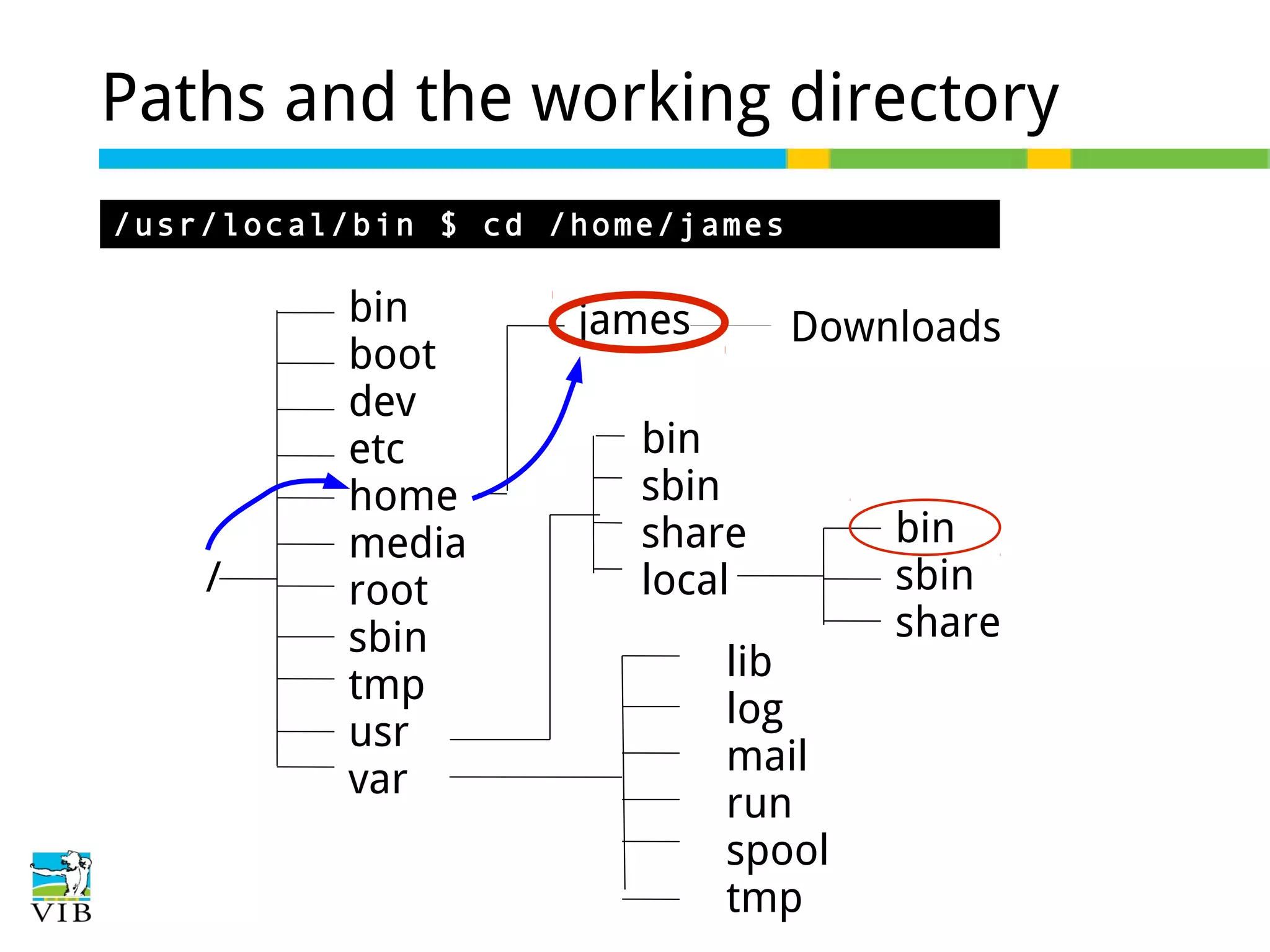 Paths and the working directory
/usr/local/bin $ cd /home/james

/

bin
boot
dev
etc
home
media
root
sbin
tmp
usr
var

james

Downloads

bin
sbin
share
local
lib
log
mail
run
spool
tmp

bin
sbin
share

 