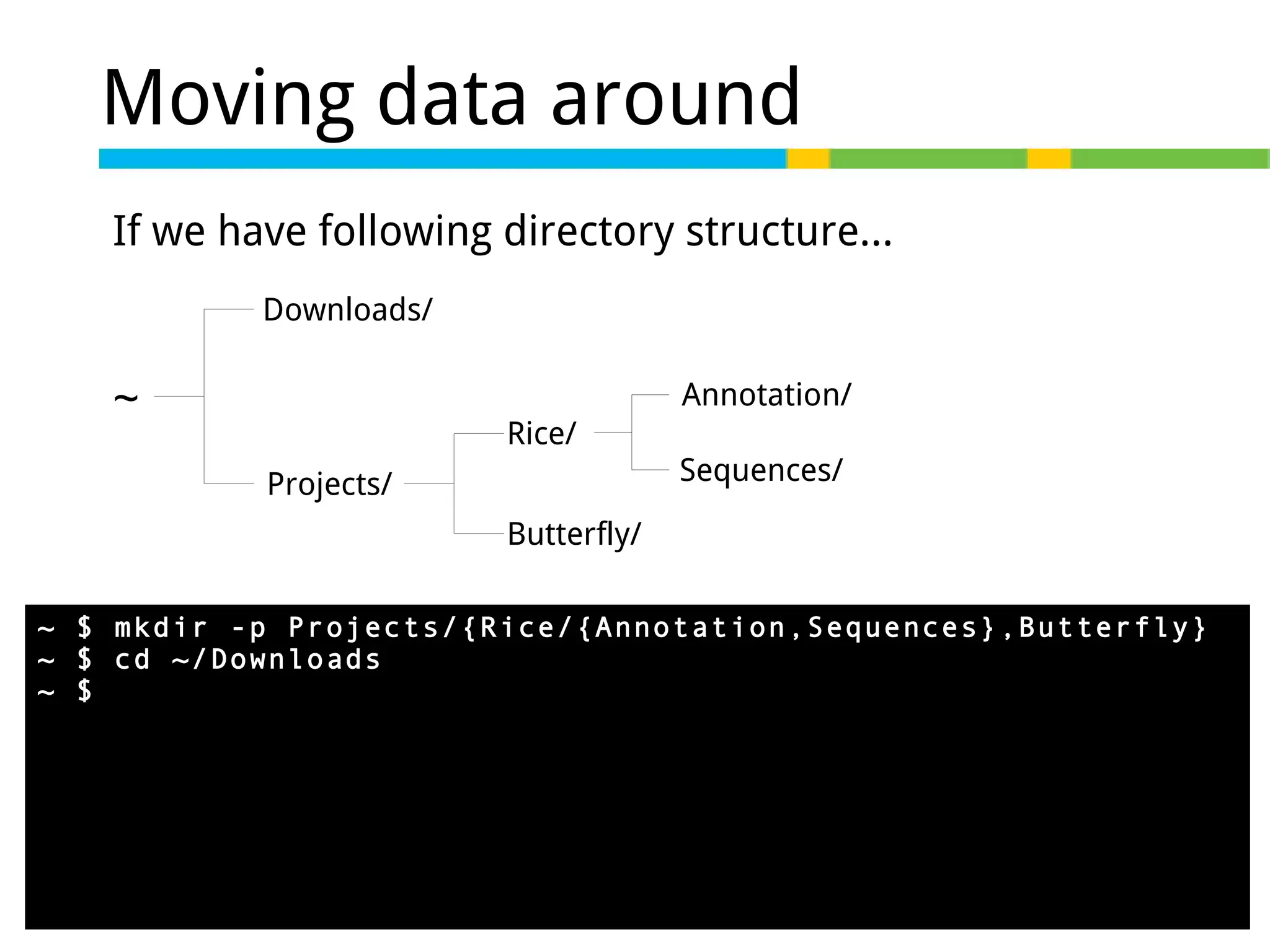 Moving data around
If we have following directory structure...
Downloads/

~

Annotation/
Rice/
Projects/

Sequences/

Butterfly/
~ $ mkdir -p Projects/{Rice/{Annotation,Sequences},Butterfly}
~ $ cd ~/Downloads
~ $ wget http://dl.dropbox.com/u/58174806/Linuxsample.sam

 