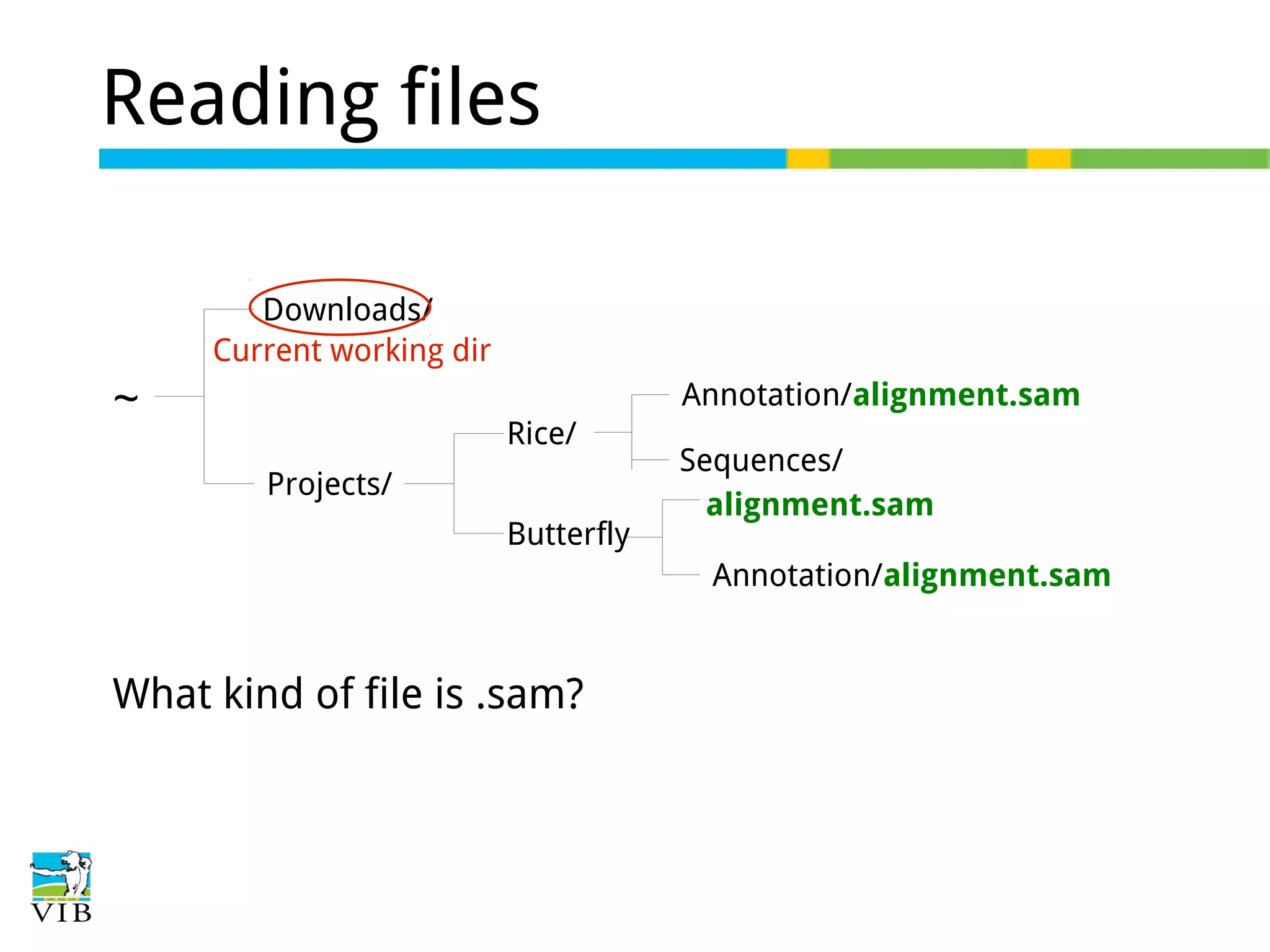 Reading files
Downloads/
Current working dir

~

Annotation/alignment.sam
Rice/
Projects/
Butterfly

Sequences/
alignment.sam
Annotation/alignment.sam

What kind of file is .sam?

 