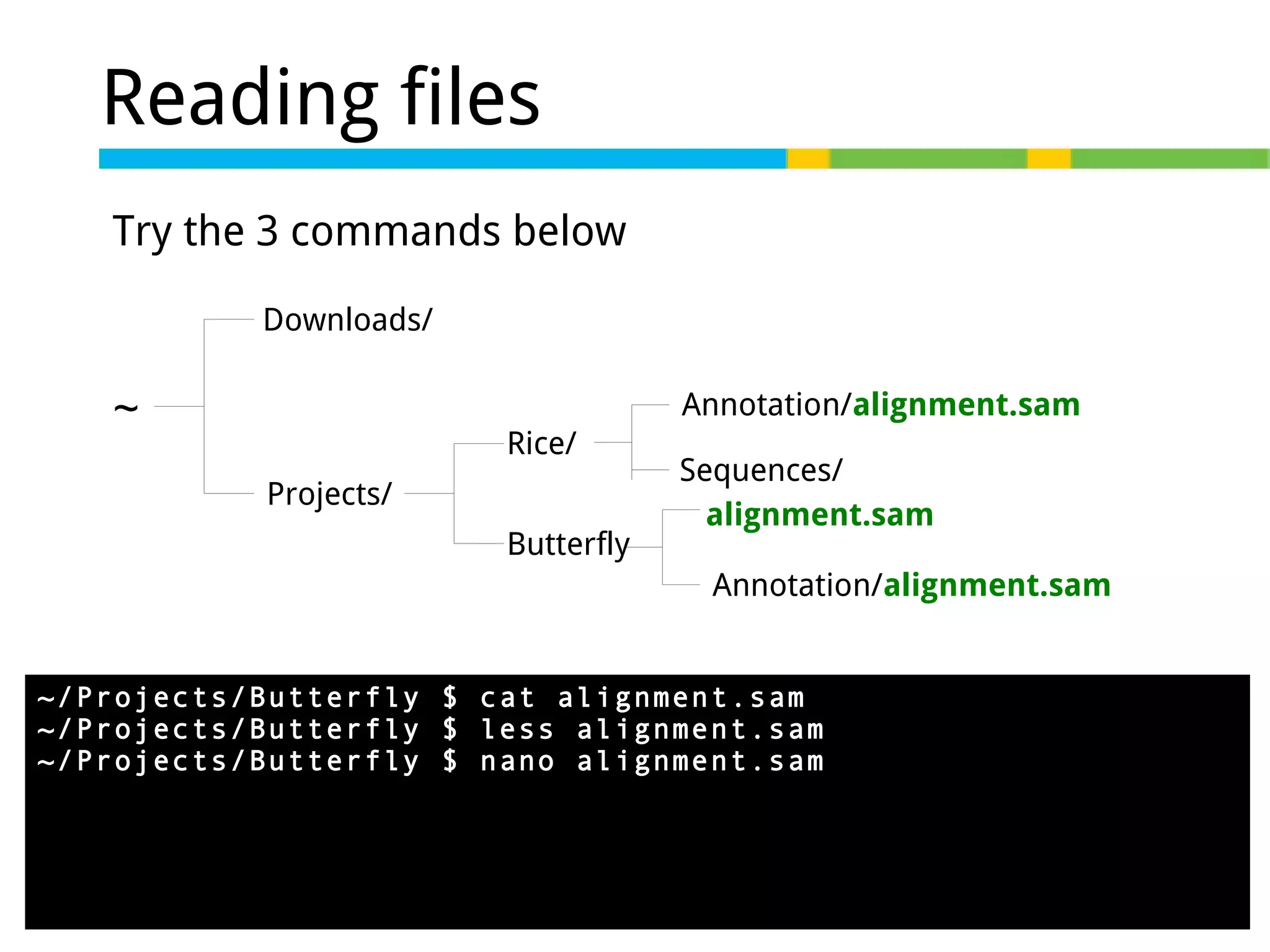 Reading files
Try the 3 commands below
Downloads/

~

Annotation/alignment.sam
Rice/
Projects/
Butterfly

Sequences/
alignment.sam
Annotation/alignment.sam

~/Projects/Butterfly $ cat alignment.sam
~/Projects/Butterfly $ less alignment.sam
~/Projects/Butterfly $ nano alignment.sam

 