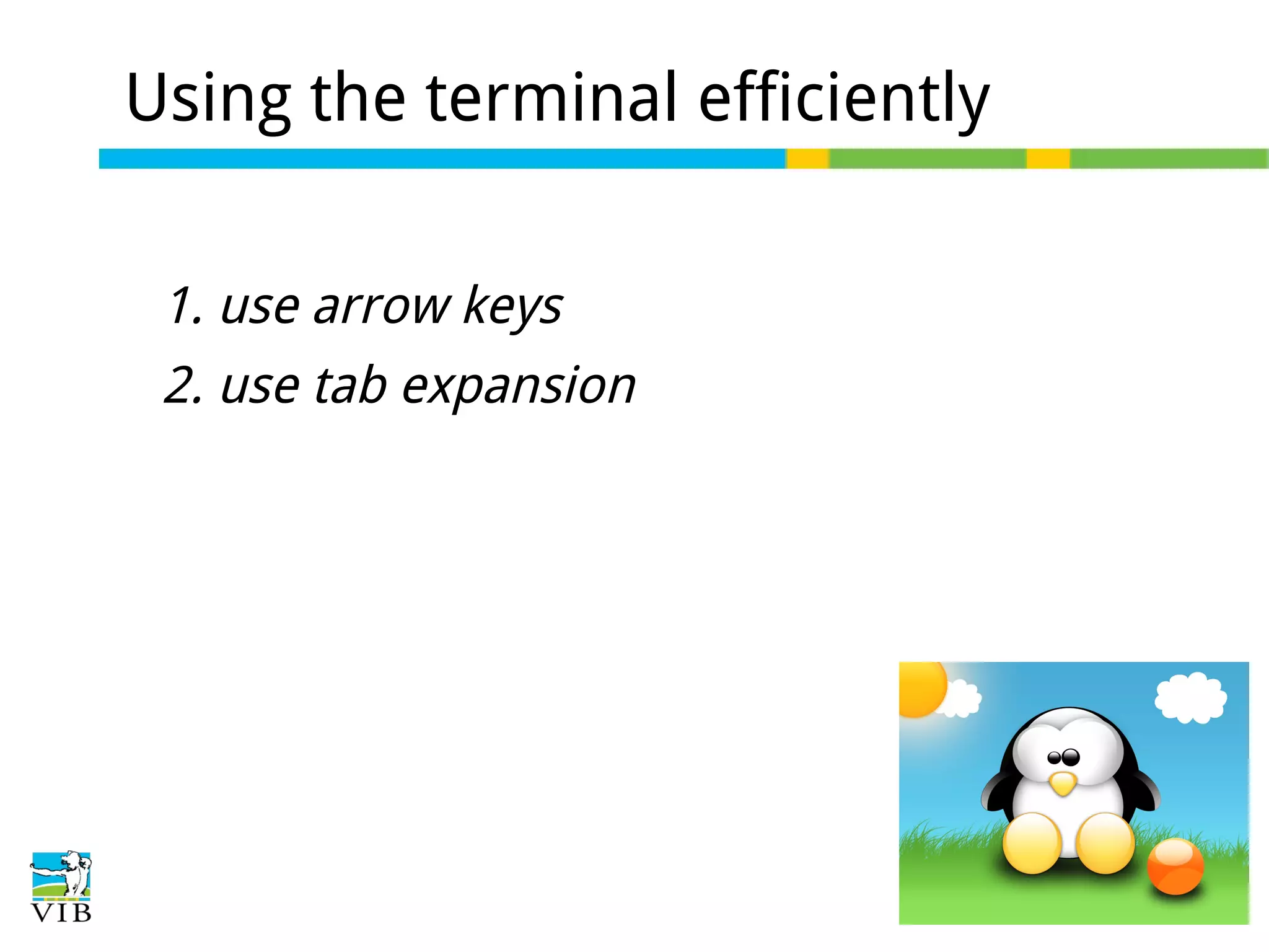 Using the terminal efficiently
1. use arrow keys
2. use tab expansion

 