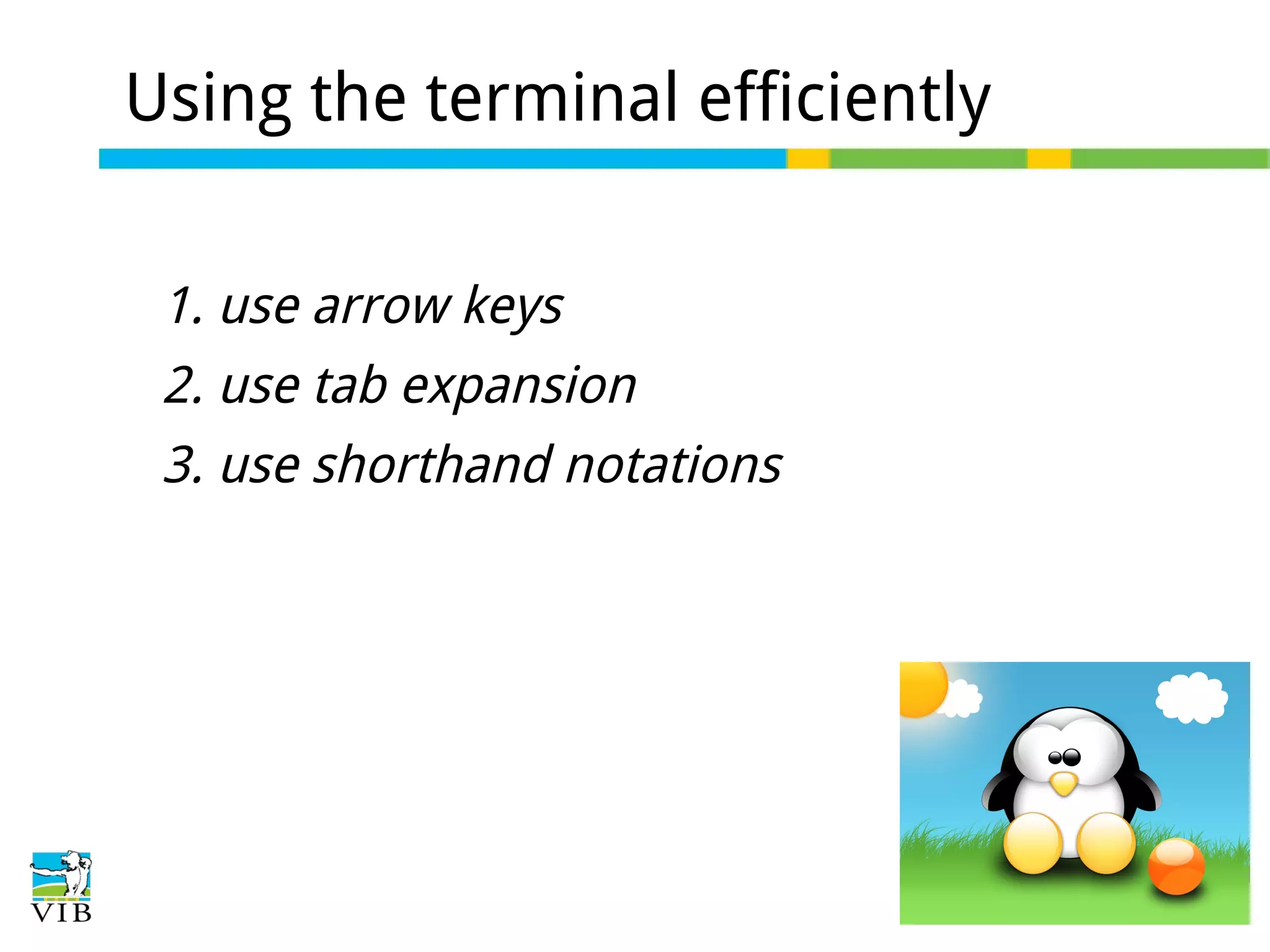 Using the terminal efficiently
1. use arrow keys
2. use tab expansion
3. use shorthand notations

 