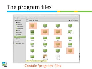 The program files

Contain 'program' files

 