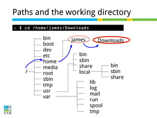 Paths and the working directory
~ $ cd /home/james/Downloads

/

bin
boot
dev
etc
home
media
root
sbin
tmp
usr
var

james

Downloads

bin
sbin
share
local
lib
log
mail
run
spool
tmp

bin
sbin
share

 