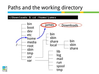 Paths and the working directory
~/Downloads $ cd /home/james

/

bin
boot
dev
etc
home
media
root
sbin
tmp
usr
var

james

Downloads

bin
sbin
share
local
lib
log
mail
run
spool
tmp

bin
sbin
share

 