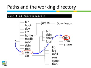 Paths and the working directory
/usr $ cd /usr/local/bin

/

bin
boot
dev
etc
home
media
root
sbin
tmp
usr
var

james

Downloads

bin
sbin
share
local
lib
log
mail
run
spool
tmp

bin
sbin
share

 