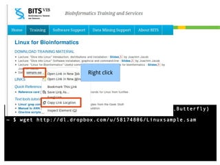 Moving data around
Sample directory structure
Downloads/alignment.sam

~

Right
Rice/ click
Projects/

Annotation/
Sequences/

Butterfly/
~ $ mkdir -p Projects/{Rice/{Annotation,Sequences},Butterfly}
~ $ cd ~/Downloads
~ $ wget http://dl.dropbox.com/u/58174806/Linuxsample.sam

 