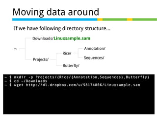 Moving data around
If we have following directory structure...
Downloads/Linuxsample.sam

~

Annotation/
Rice/
Projects/

Sequences/

Butterfly/
~ $ mkdir -p Projects/{Rice/{Annotation,Sequences},Butterfly}
~ $ cd ~/Downloads
~ $ wget http://dl.dropbox.com/u/58174806/Linuxsample.sam

 