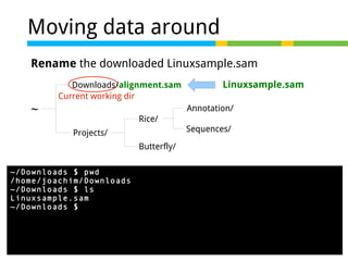Moving data around
Rename the downloaded Linuxsample.sam
Downloads/alignment.sam
Current working dir

~

Linuxsample.sam
Annotation/

Rice/
Projects/

Sequences/

Butterfly/
~/Downloads $ pwd
/home/joachim/Downloads
~/Downloads $ ls
Linuxsample.sam
~/Downloads $ mv Linuxsample.sam alignment.sam

 