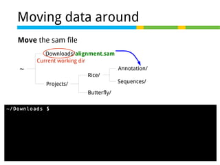 Moving data around
Move the sam file
Downloads/alignment.sam
Current working dir

~

Annotation/
Rice/
Projects/

Sequences/

Butterfly/
~/Downloads $ mv alignment.sam ../Projects/Rice/Annotation/

 