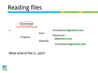 Reading files
Downloads/
Current working dir

~

Annotation/alignment.sam
Rice/
Projects/
Butterfly

Sequences/
alignment.sam
Annotation/alignment.sam

What kind of file is .sam?

 