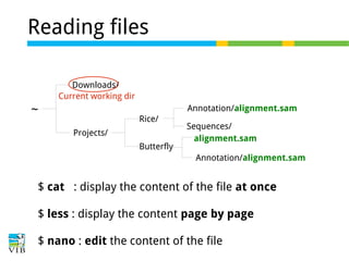 Reading files
Downloads/
Current working dir

~

Annotation/alignment.sam
Rice/
Projects/
Butterfly

Sequences/
alignment.sam
Annotation/alignment.sam

$ cat : display the content of the file at once
$ less : display the content page by page
$ nano : edit the content of the file

 